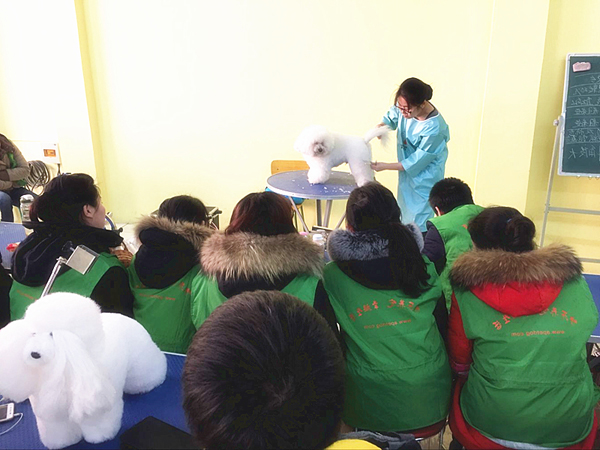 QQ图片20160114151112.jpg