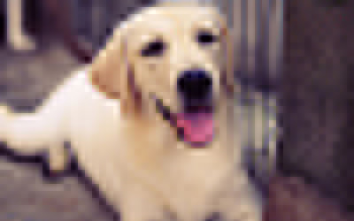 1477372430109001.jpg labuladuo.jpg